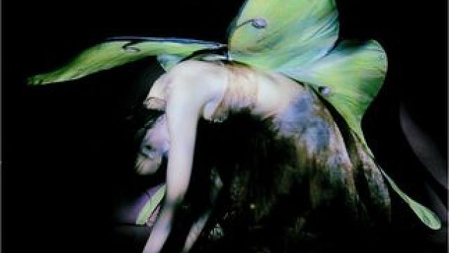 他们剪断了我的翅膀 却还让我飞翔
