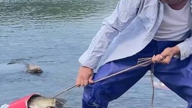 #户外捕鱼 #好多鱼