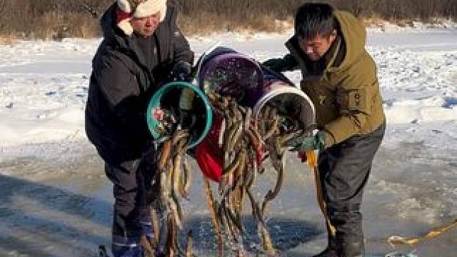 #户外捕鱼 #好多鱼