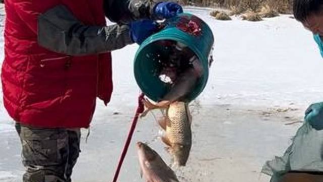 #户外捕鱼 #好大一条鱼