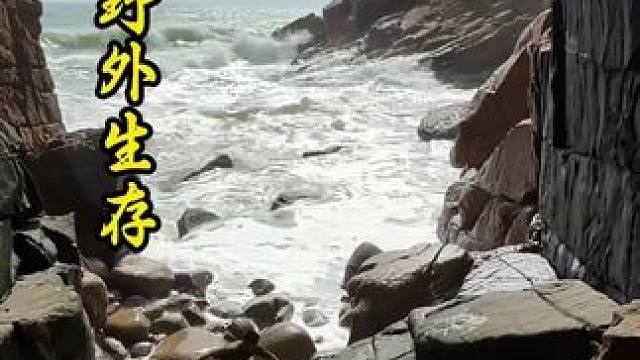 野外生存 台风过后的回水湾搁浅了不少体形较大的鱼，不能食用的用来打窝，吸引来了各种海鲜#野外生存 #