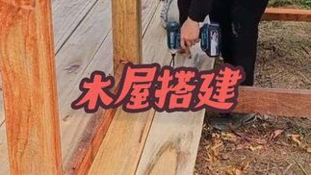 #荒野建造 #野外生存 #木屋搭建 #内容启发搜索