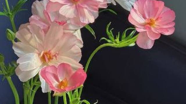 放假回家不要再大包小包的啦，整一个新行李袋轻松搞定！ 毛毡材质，质感好还结实耐用！关键现在价格是真便