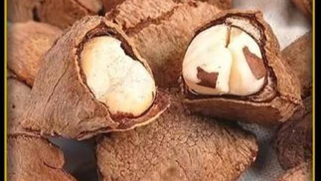 深受欧美富豪追捧的鲍鱼果，今天高低整上一份回去尝尝是啥味！#鲍鱼果  #坚果  #涨知识