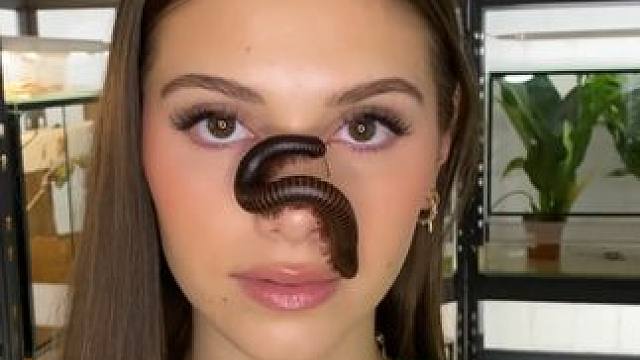 国外情侣的宠物 #国外视频分享 #昆虫 #宠物