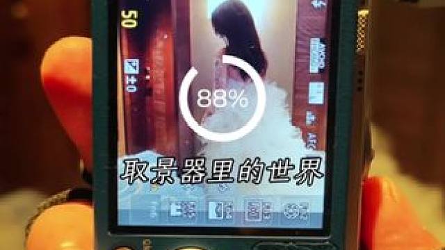 取景器里的世界#我的2024作品总结 #氛围感 #摄影师 #客片分享 #电影感