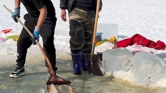 #户外捕鱼 #好多鱼