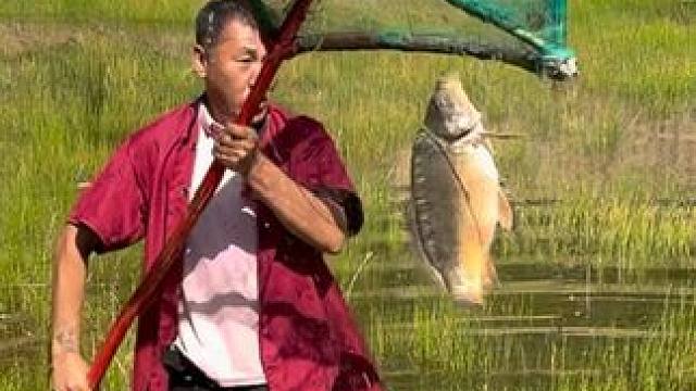 #户外捕鱼 #好大一条鱼