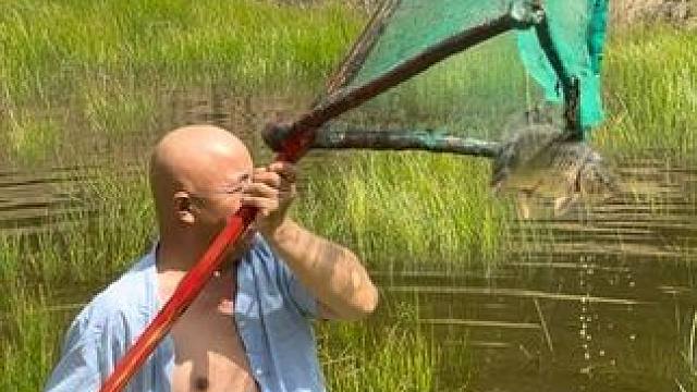 #户外捕鱼 #好大一条鱼