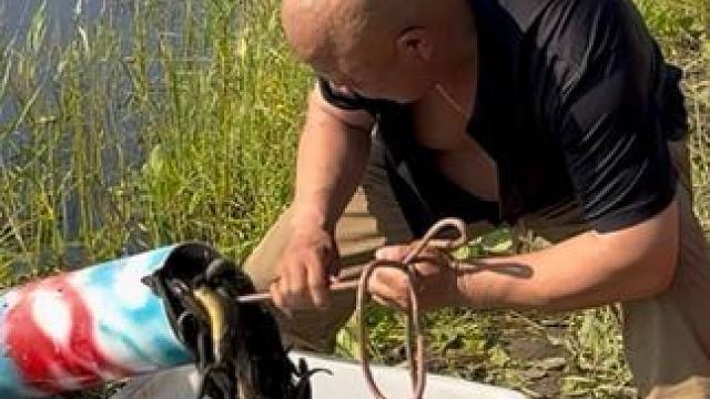 #户外捕鱼 #好多鱼