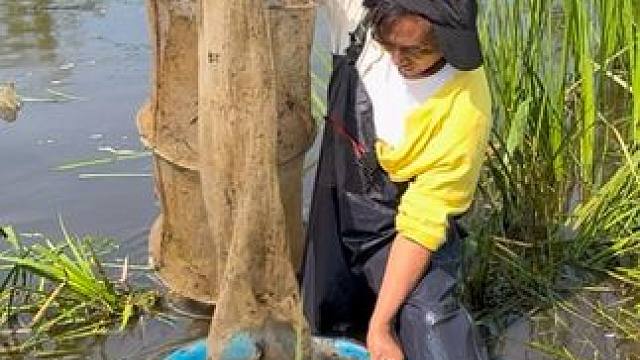 #户外捕鱼 #好多鱼