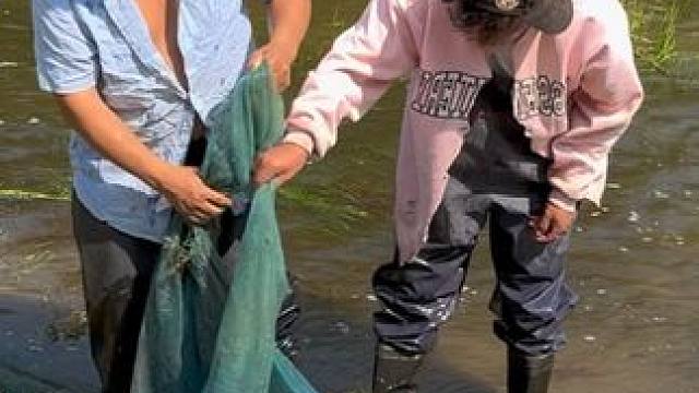 #户外捕鱼 #好多鱼