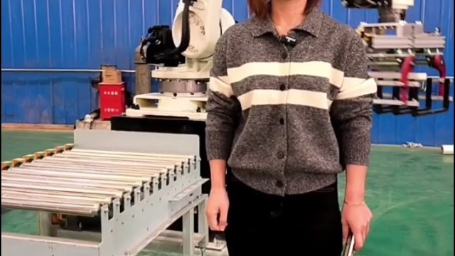 山东码垛机器人公司，机器人码垛机设备专业生产，瓜子码垛机谁家做的好？瓜子用的的码垛机多少钱#码垛机器