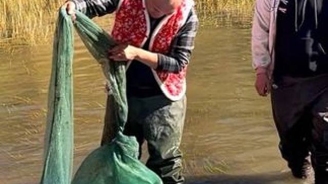 #户外捕鱼 #好多鱼