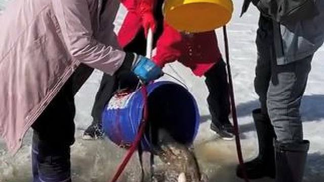 #户外捕鱼 #好多鱼