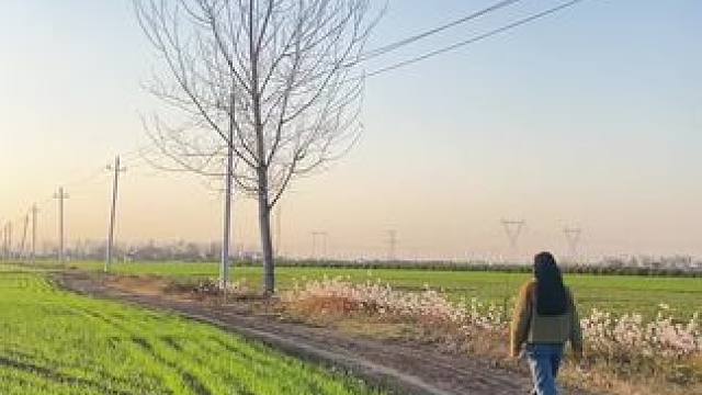 长大后的每一年都像开了倍速一样
回到家乡总喜欢上地里转转……#河南 #乡愁记忆 #农村老家 #田间地