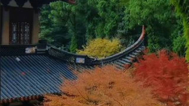 生活如果不宠你，更要自己善待自己。