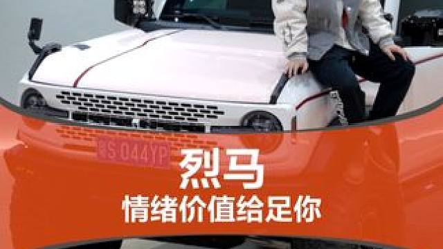 男人的情绪价值，一台福特烈马满足你！ #福特烈马 #福特纵横