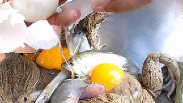 东南亚乡村美食#原始美味#农村美食#东南亚美食