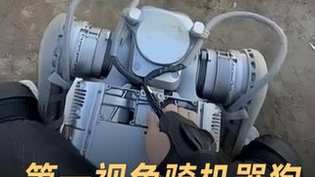 第一视角骑机器狗，疯狂越野有点费人 #机器狗  #宇树科技  #人工智能  #科技