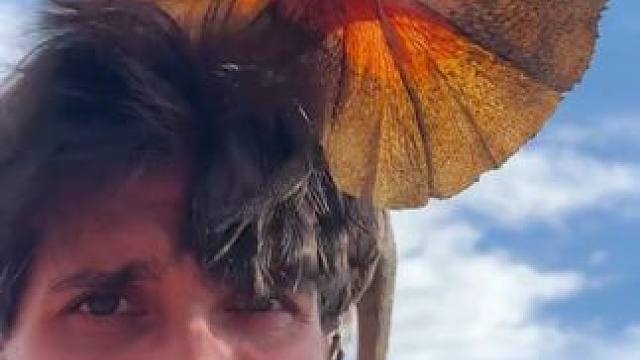 伞蜥很像《侏罗纪公园》里那只恐龙 #国外视频分享 #野生动物零距离 