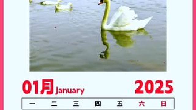 #开启一年好运