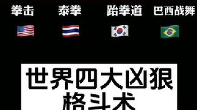 世界四大凶残格斗术，感觉还得再添加几个！#格斗 #防身术 #摔跤 #健身 #MMA豹哥