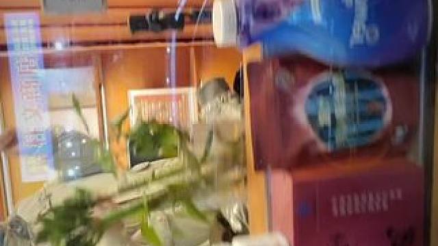 我发布了一个新视频，快来围观吧！