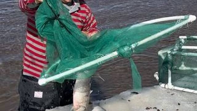 #户外捕鱼 #好多鱼