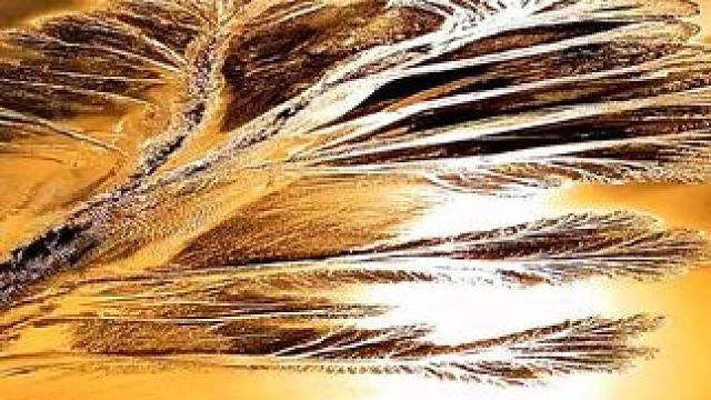 钱塘江自然景观“潮汐树”在夕阳映照下，熠熠生辉，美轮美奂#夕阳潮汐树