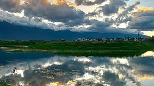 轻轻一摔就爆炸，和大拇指一样大小的巴拉那松子，你吃过吗#巴拉那松子 #松子 #巴拉那松