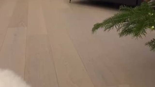 朋友：哇趣，原来是在家帮你拉货啊~ #玩个很新的东西 #遥控车