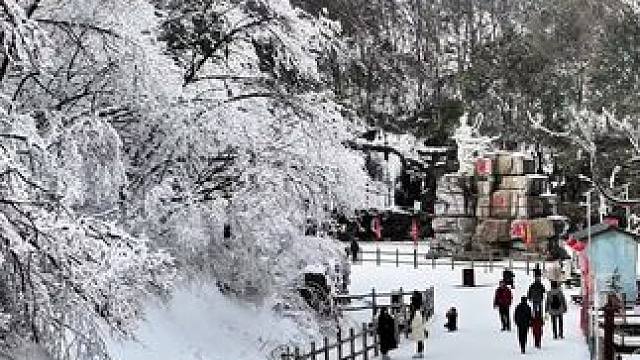 诗情画意尽在雪地#冬天来一场雪地穿越旅行 #烦恼都会被这场雪掩盖 #银装素裹 #中国雪乡景色 #和喜