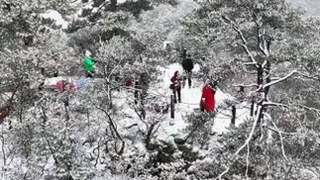 雪中的迎客松和舍利塔#冬天该有的样子 #愿冬天的第一场雪给你带来惊喜带来好运 #踏雪而行 #一帧中国