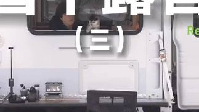 雪中露营（三）#露营 #助眠 #解压 #萌宠 #户外露营