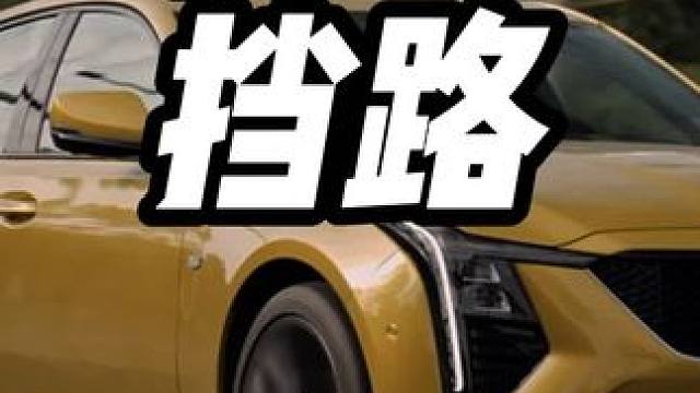 史上最强科目三选手 #考驾照 #科目三