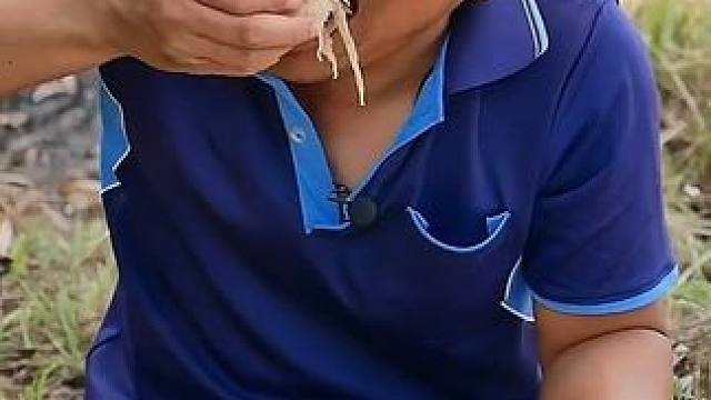 香米饭团酸辣️木瓜丝沙拉 #泰国美食 #户外美食 #美食 #内容启发搜索