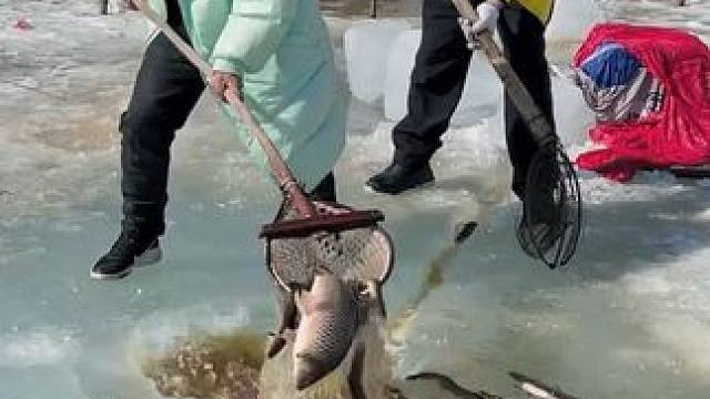 #户外捕鱼 #好多鱼