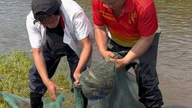 我发布了一个新视频，快来围观吧！