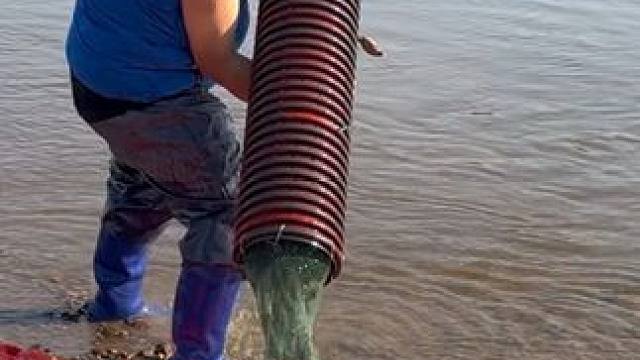 #户外捕鱼 #好多鱼