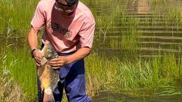 #户外捕鱼 #好大一条鱼