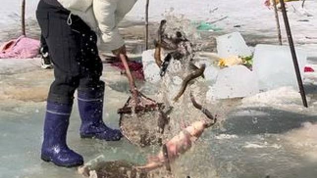 #户外捕鱼 #好多鱼