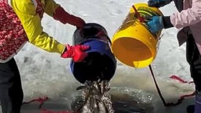 #户外捕鱼 #好多鱼