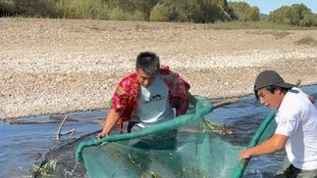 #户外捕鱼 #好多鱼