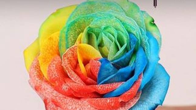 让孩子玩真实的科学小实验，不仅能提升科学思维，还能放下虚拟的手机游戏，在动手动脑中打下坚实的物理化基