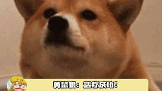 黄鼠狼：感谢你的话疗~ 