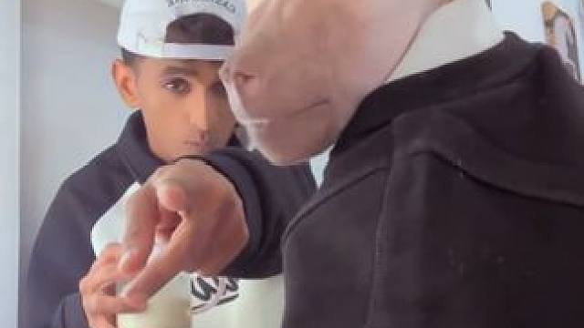 阿拉伯小伙的宠物狒狒 #国外视频分享 #奇妙的动物 #宠物