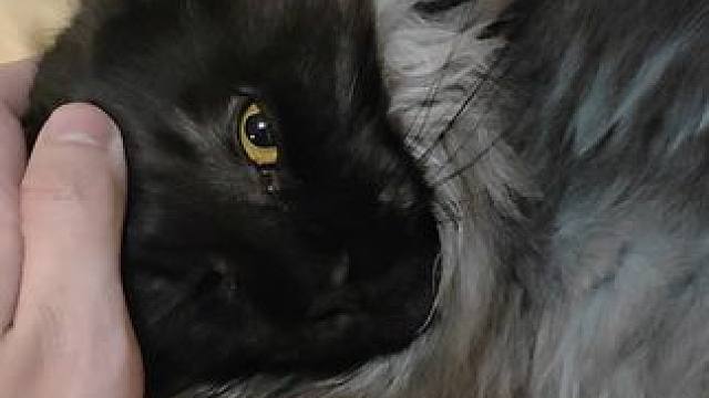 别睡了 一到关灯睡觉的时候就贼精神