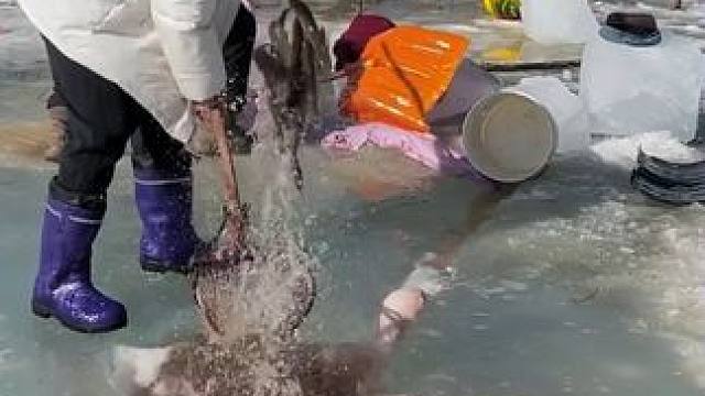 #户外捕鱼 #好多鱼