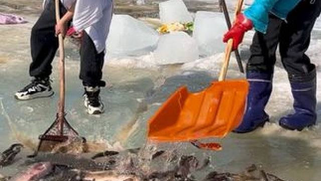 #户外捕鱼 #好多鱼